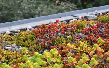 the cost of Drybeck green roof installation