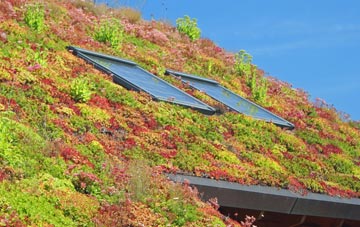 Drybeck living roof systems