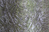 Drybeck fibreglass roof work